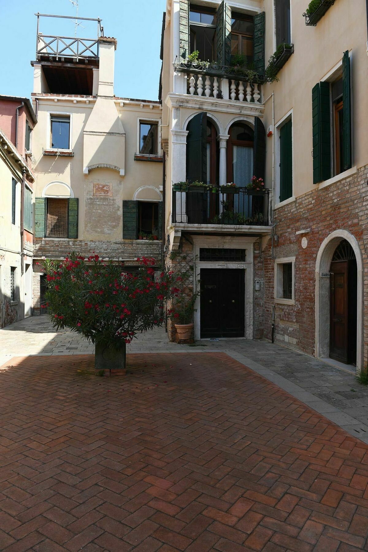 Mio Venecia